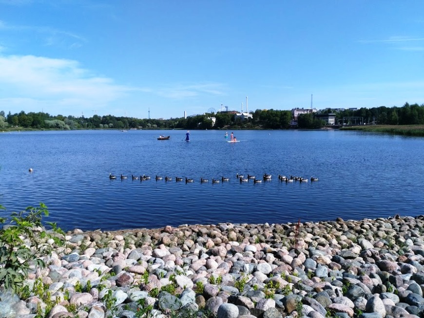 Helsingin Töölönlahti 19.7.2018. Kuva: Henri Elo